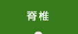 脊椎