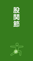股関節