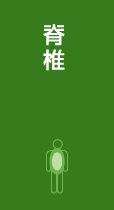 脊椎