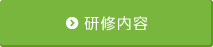 研修内容
