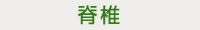 脊椎