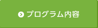 プログラム内容